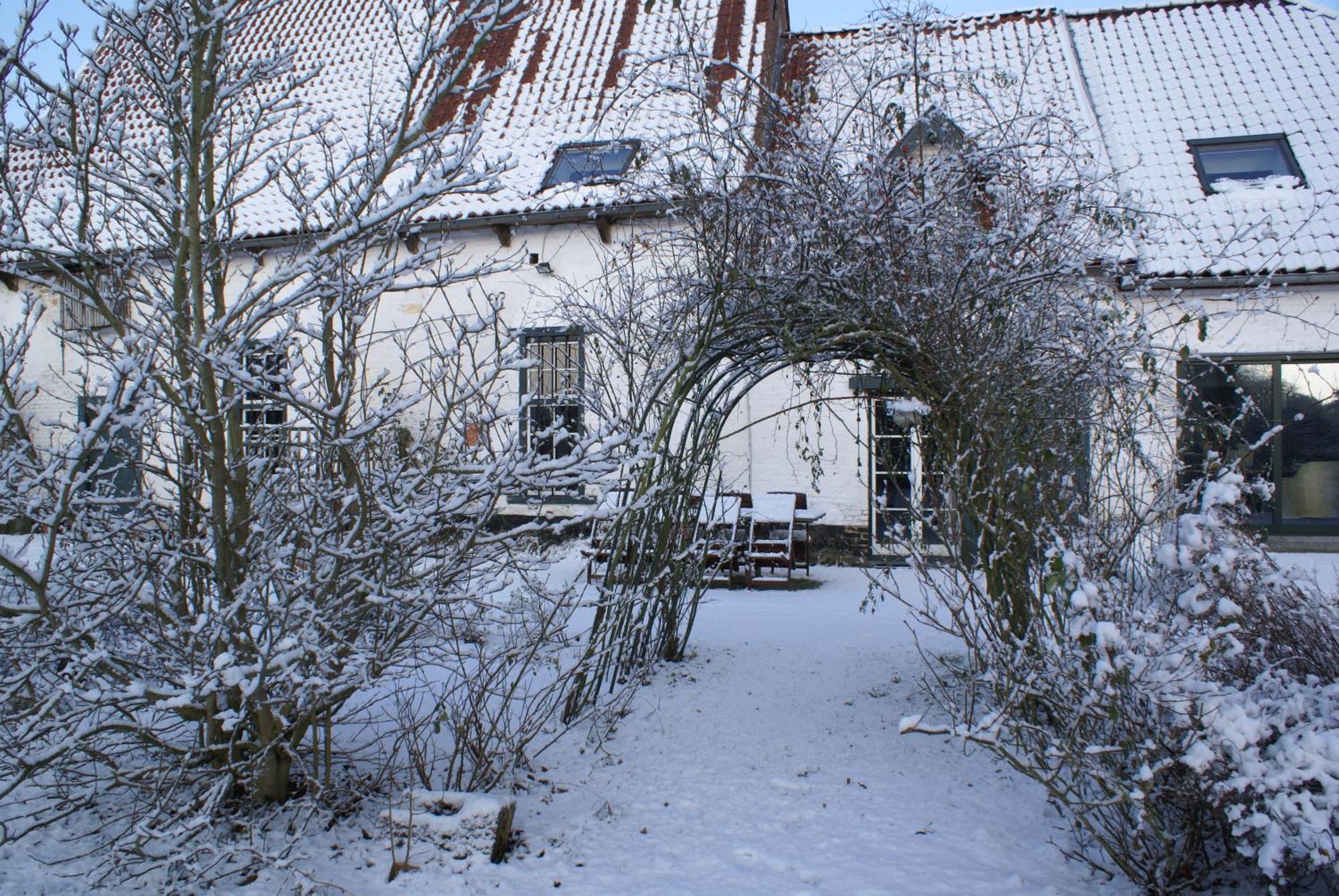 B&B De Metstermolen Sint-Truiden Exteriér fotografie